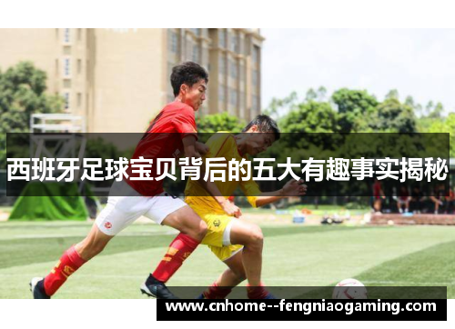 西班牙足球宝贝背后的五大有趣事实揭秘