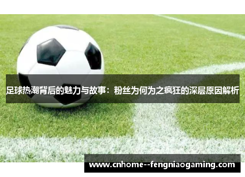 足球热潮背后的魅力与故事：粉丝为何为之疯狂的深层原因解析