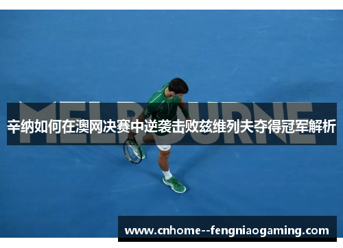 辛纳如何在澳网决赛中逆袭击败兹维列夫夺得冠军解析