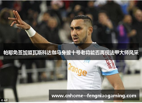 帕耶免签加盟瓦斯科达伽马身披十号老将能否再现法甲大师风采