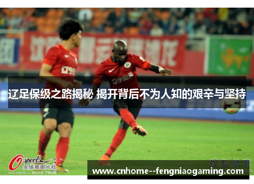 辽足保级之路揭秘 揭开背后不为人知的艰辛与坚持