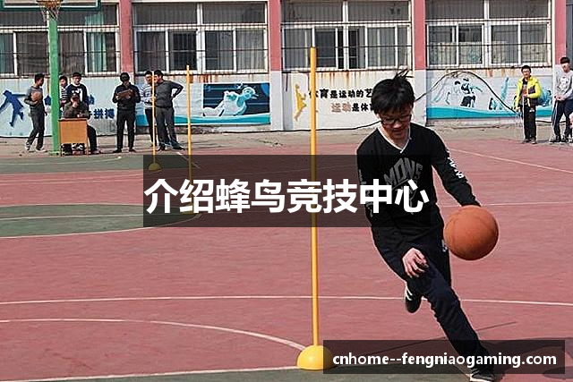 介绍蜂鸟竞技中心